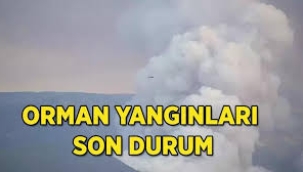 Orman yangınlarında son durum