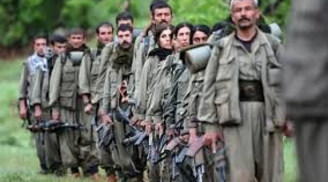 Silah bırakan PKK'dan ilk açıklama