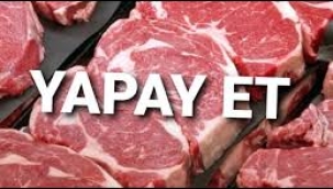 Yapay et üretimi Türkiye'de başladı! mı