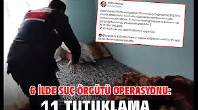 6 ilde suç örgütü operasyonu: 11 kişi tutuklandı