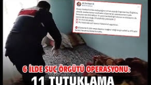 6 ilde suç örgütü operasyonu: 11 kişi tutuklandı
