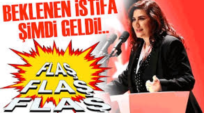 Aydın Büyükşehir Belediye Başkanı Özlem Çerçioğlu CHP'den istifa etti
