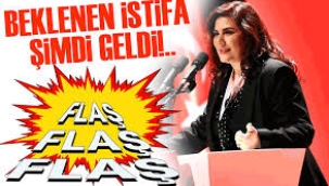 Aydın Büyükşehir Belediye Başkanı Özlem Çerçioğlu CHP'den istifa etti