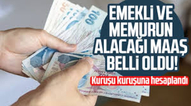 Memur ve emekli ne kadar maaş alacak? Kuruşu kuruşuna hesaplandı