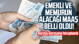 Memur ve emekli ne kadar maaş alacak? Kuruşu kuruşuna hesaplandı