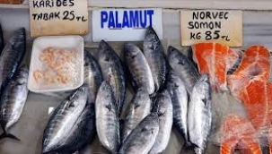 Palamut tezgahları süsledi: Fiyatı cep yakıyor