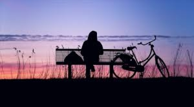 Türkiye'de yalnız yaşayanların haritası çıktı!