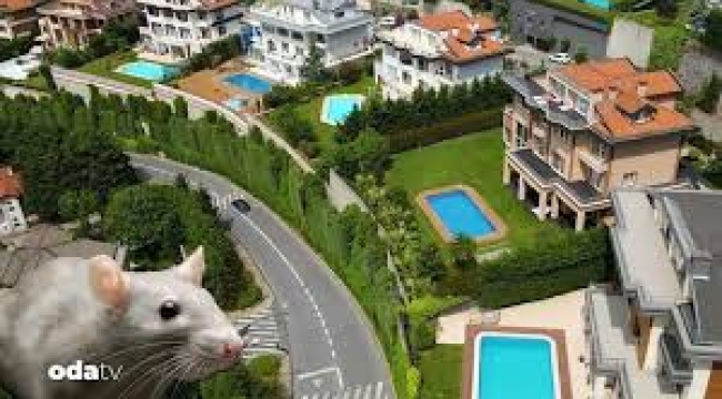 Sosyetik sitede fare paniği