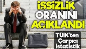 TÜİK açıkladı: İşsizlik oranı yüzde 8,5’e yükseldi