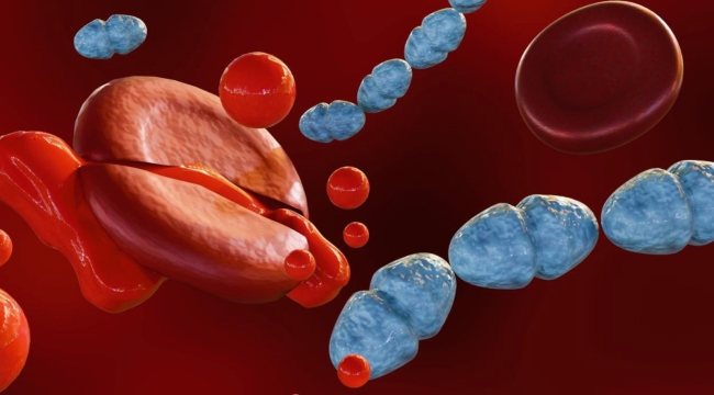 Yılda 11 milyona yakın can alıyor: Dikkat herkes risk grubunda!