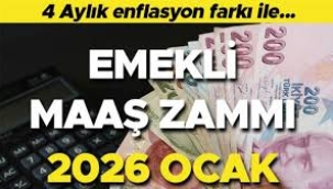 Emeklinin 4 aylık maaşı ortaya çıktı! TÜİK verileri paylaştı...