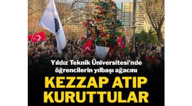 Öğrencilerin yılbaşı ağacını kezzap atıp kuruttular