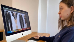 Stilistlik Eğitimi ile Trendleri Takip Etmenin Önemi