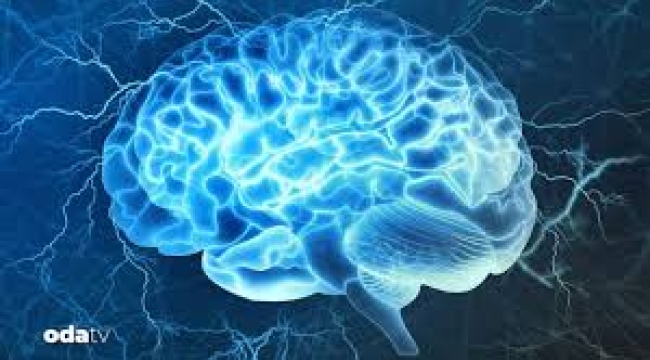 Beyin ile ilgili  iddia: Ölmüyor