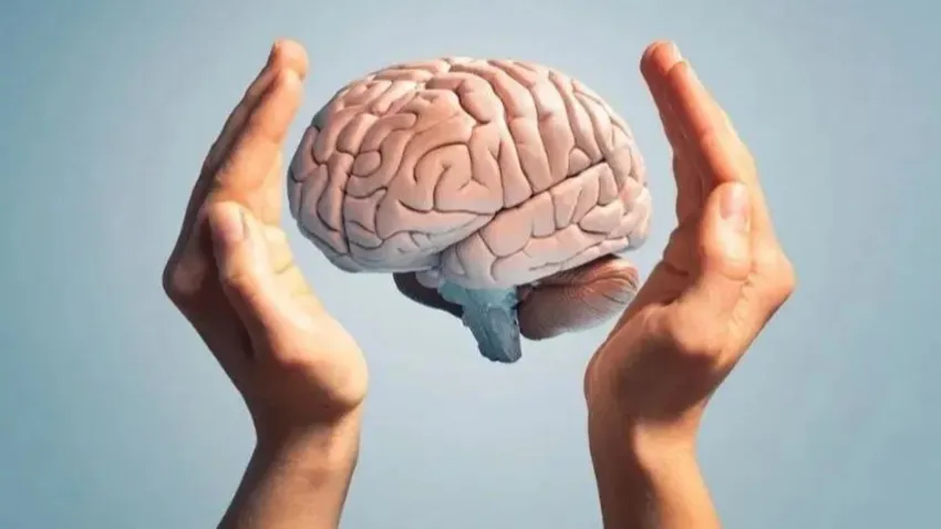 Beyin ile ilgili tartışma yaratacak iddia: Ölmüyor