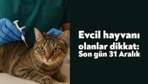 Evcil hayvanları olanlar için son gün 31 Aralık