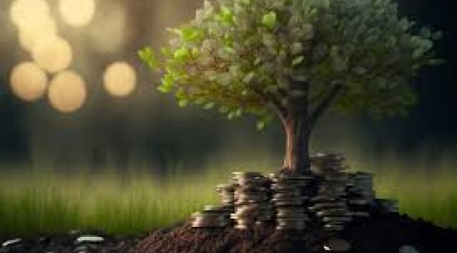 Para ve mutluluk… Bazen birbiriyle bağlantılı görünür, bazen birbirinden oldukça uzaktır…