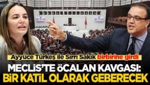 TBMM Genel Kurulu'nda milletvekilleri birbirine girdi