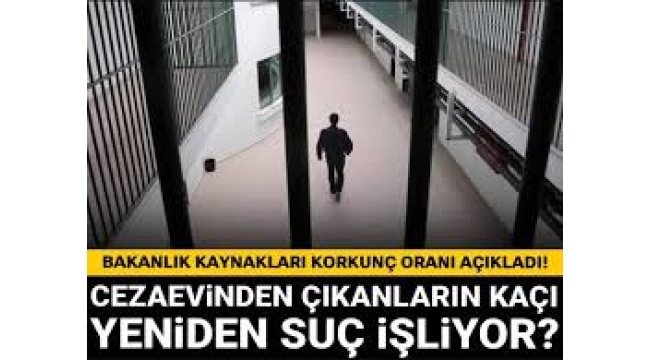 Cezaevinden çıkanların kaçı yeniden suç işliyor?
