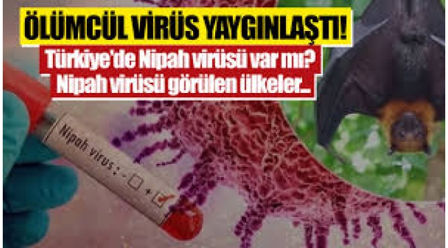Nipah virüsü Türkiye'ye gelir mi?