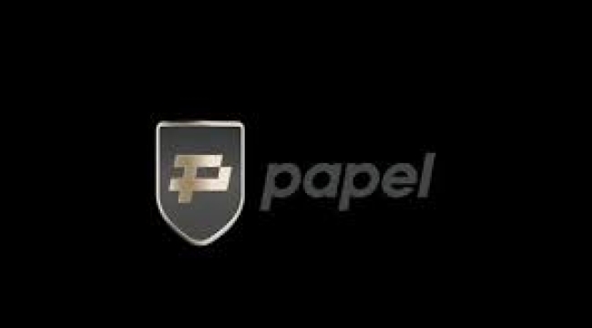 Ödeme sistemi Papel'e operasyon: Şirkete kayyum atandı, 