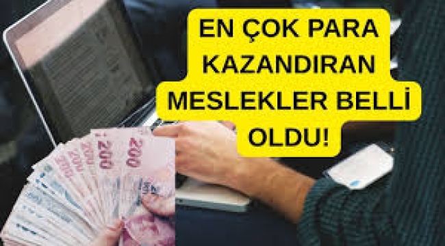 Türkiye'nin en çok kazandıran mesleği belli oldu: Aylık 456 bin TL gelir..