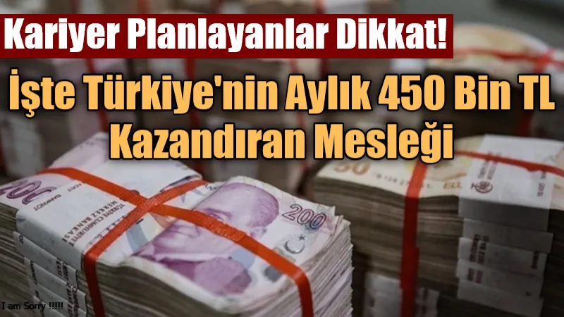 Türkiye'nin en çok kazandıran mesleği belli oldu: Aylık 456 bin TL gelir..