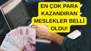 Türkiye'nin en çok kazandıran mesleği belli oldu: Aylık 456 bin TL gelir..