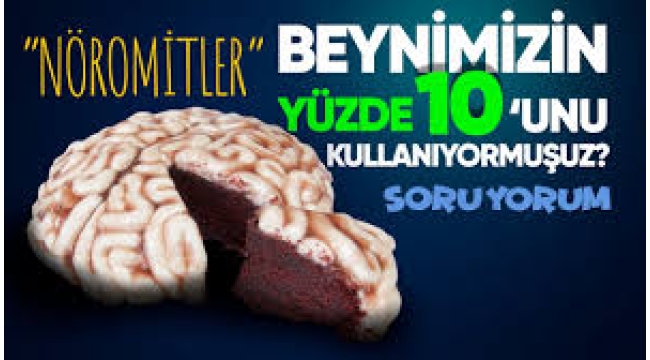 Beyinle ilgili 'yüzde 10' gerçeği! Herkes buna inandı ama gerçek çok farklıymış