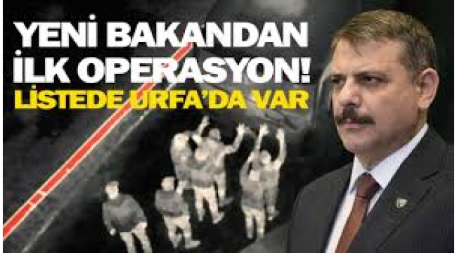 Yeni bakandan ilk operasyon: 12 ilde 109 şüpheli yakalandı!