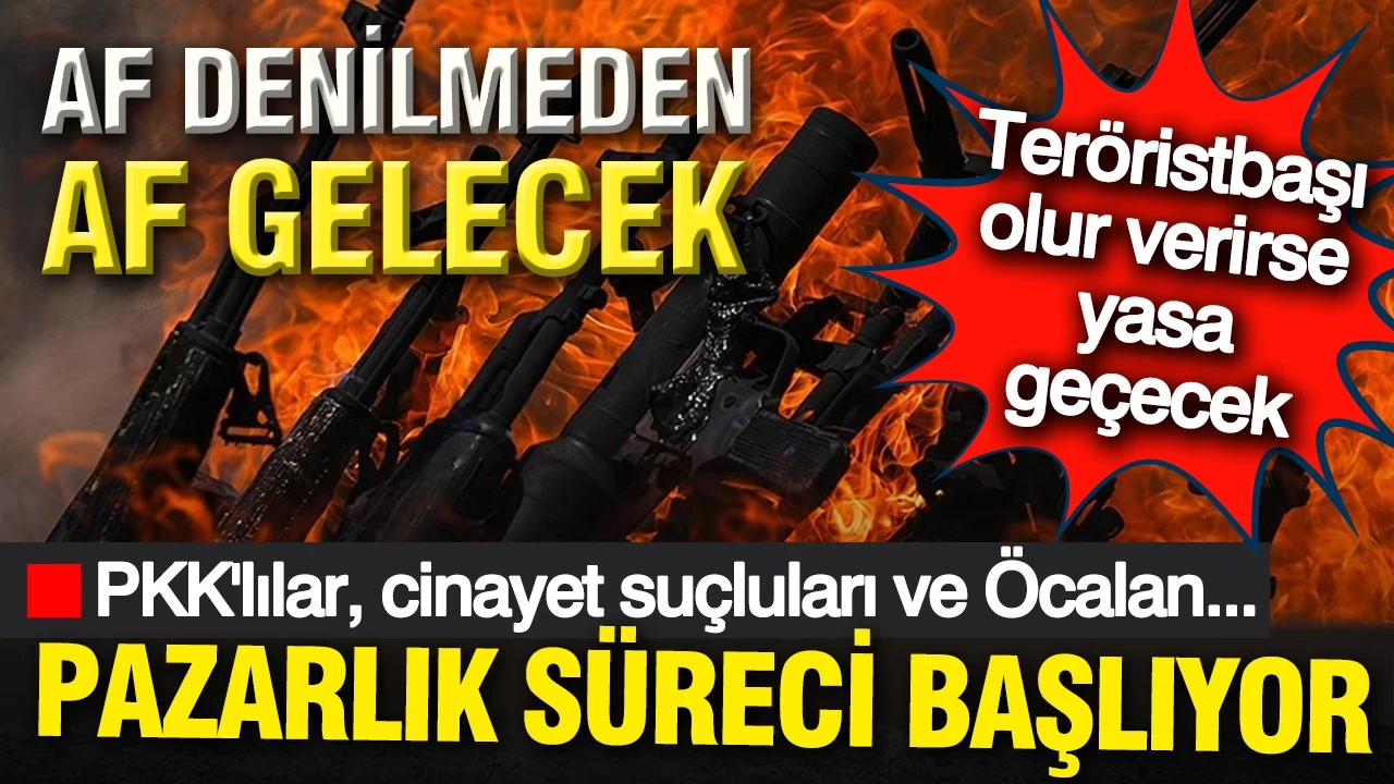 Açılım sürecinde 'pazarlık' dönemi başlıyor: Öcalan 'olur' derse yasalar geçecek