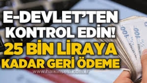 Görenler E-Devlete akın etti: SGK'dan 25 bin liraya kadar geri ödeme!