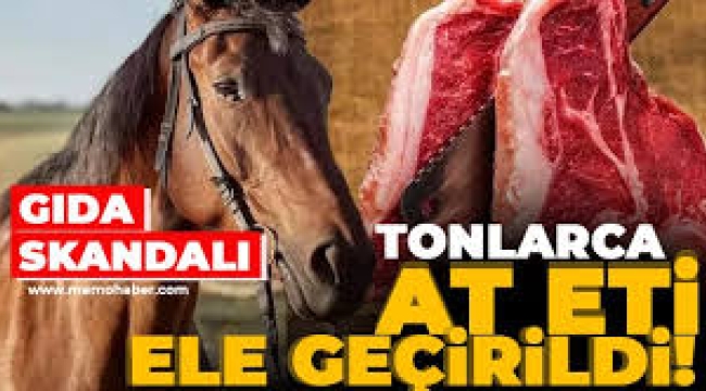 İstanbul'da at eti operasyonu: