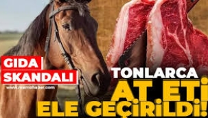 İstanbul'da at eti operasyonu: