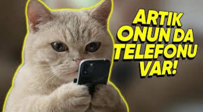  Kediler ve köpekler için akıllı telefon... Sizi arayabilecek