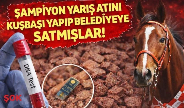 Şampiyon yarış atı 'Smart Latch' kavurma oldu: Skandal çiple ortaya çıktı!