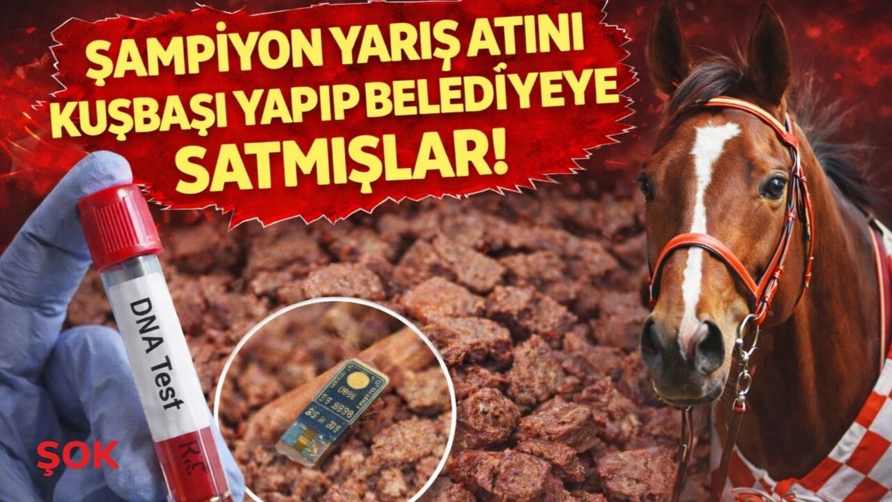 Şampiyon yarış atı 'Smart Latch' kavurma oldu: Skandal çiple ortaya çıktı!