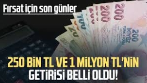 1 milyon TL'nin aylık getirisi belli oldu