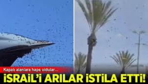 Arılar İsrail'i istila etti: İşgalciler kapalı alanlara kaçıştı 