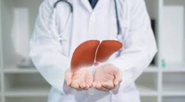 Karaciğer yetmezliğine yeni çözüm: