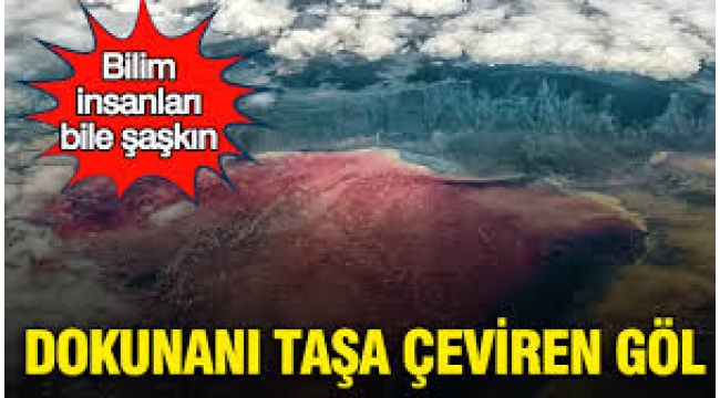Dokunanı taşa çeviren göl: Bilim insanları bile şaşkın
