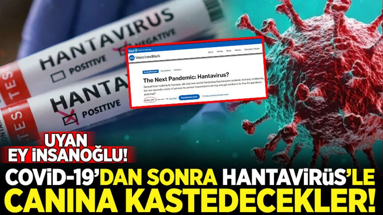 GAVİ 10 Mayıs 2021'de duyurmuş: Bir sonraki pandemi: Hantavirüs!
