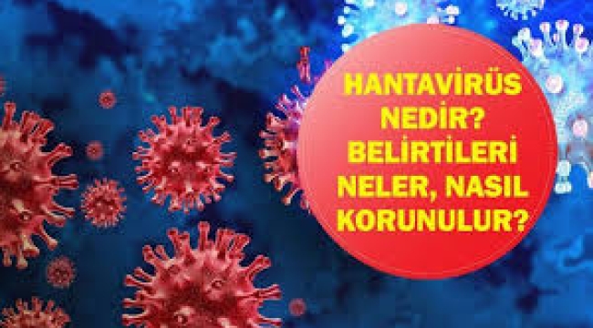  Hantavirüs nedir, belirtileri neler? 
