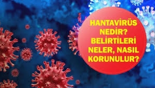 Hantavirüs nedir, belirtileri neler?