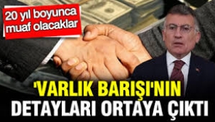 'Varlık Barışı'nın detayları ortaya çıktı: Abdullah Güler açıkladı