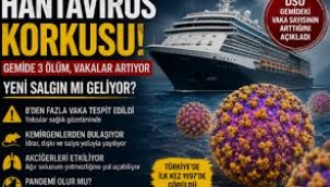 Yeni pandemi korkusu: Hantavirüsün Covid-19'dan farkı ne?