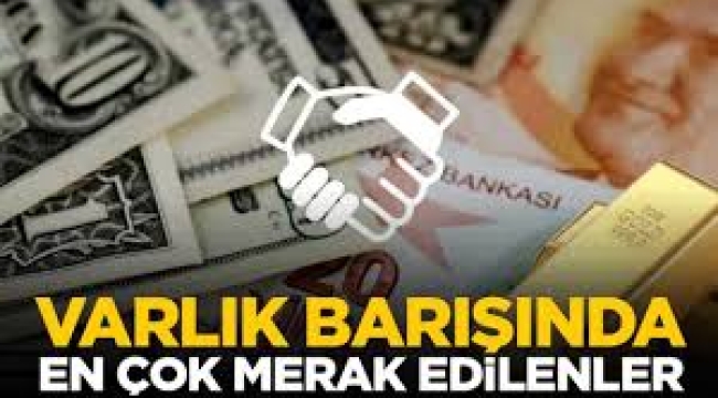 A'dan Z'ye Varlık Barışı