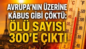 Avrupa'da sıcaklık alarmı: 300'e yakın kişi hayatını kaybetti