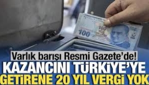 Kazancını Türkiye'ye getirene 20 yıl vergi yok! Varlık barışı Resmi Gazete'de…