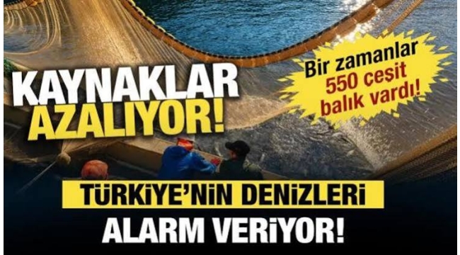 Türkiye'nin denizlerinde neler oluyor?